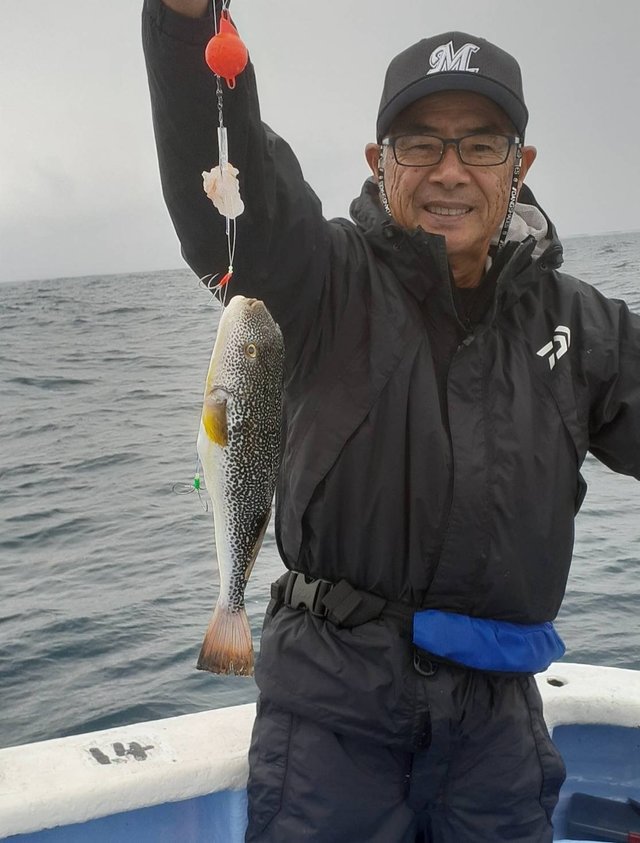 ショウサイフグ