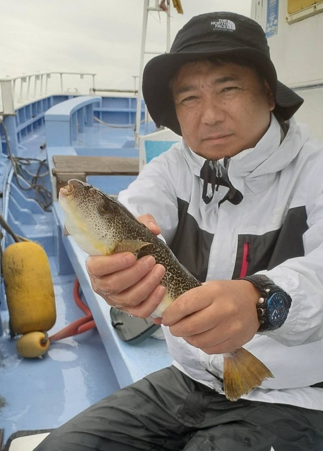 ショウサイフグ