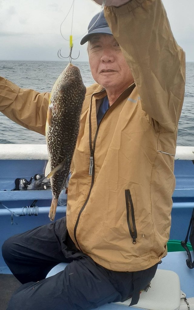 ショウサイフグ