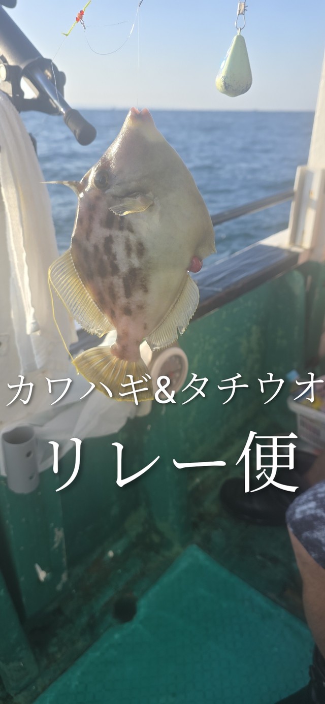 カワハギ