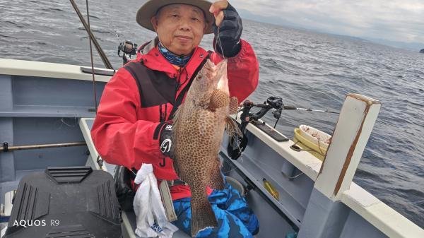 オウモンハタ(オオモンハタ)