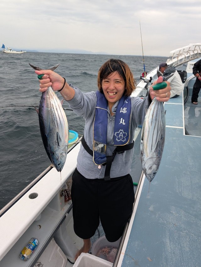 ホンガツオ(カツオ)