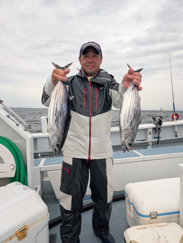 ホンガツオ(カツオ)