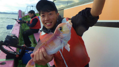 アマダイ(アカアマダイ)