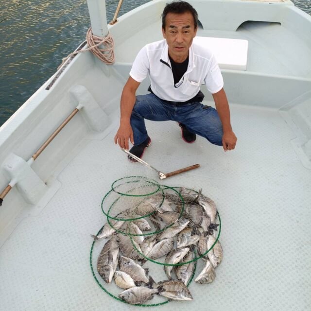 チヌ(クロダイ)