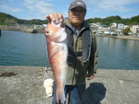 アマダイ(アカアマダイ)