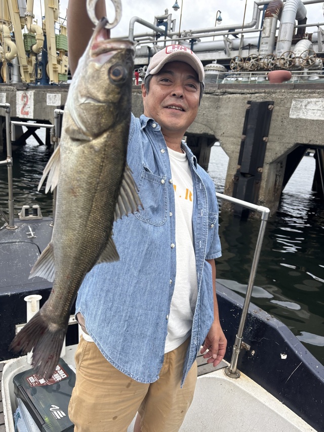 シーバス(スズキ)