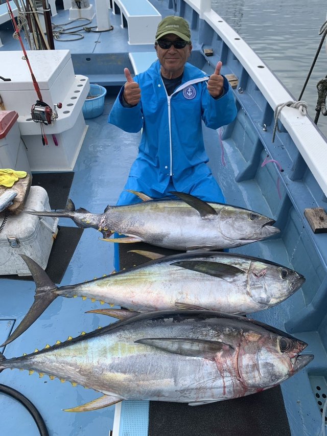 キハダマグロ(キハダ)