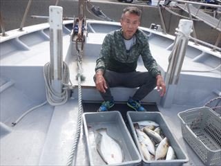 カンパチ・ヒラメ