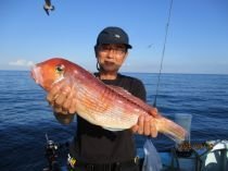 アマダイ(アカアマダイ)