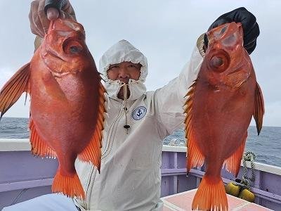 キントキ(チカメキントキ)