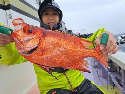 キントキ(チカメキントキ)