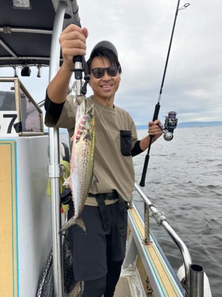 サゴシ(サワラ)