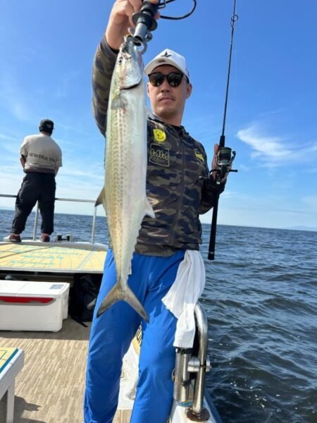 サゴシ(サワラ)