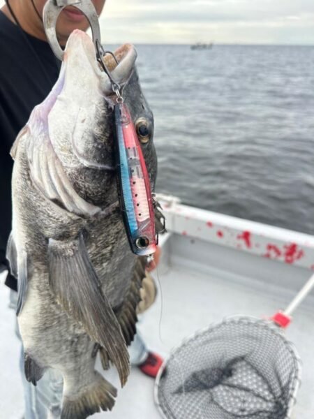 チヌ(クロダイ)