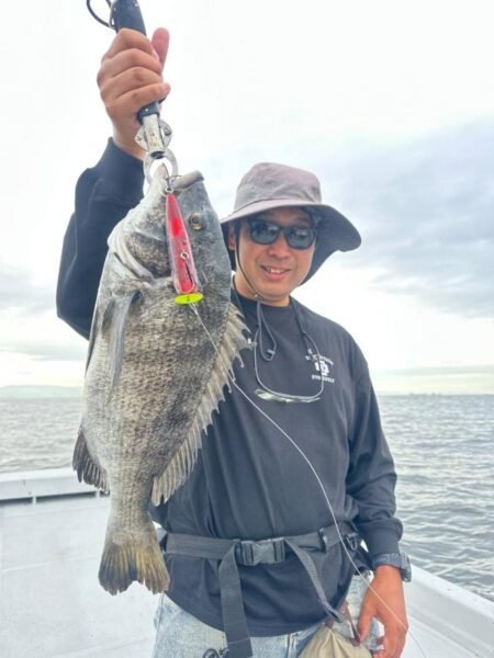 チヌ(クロダイ)