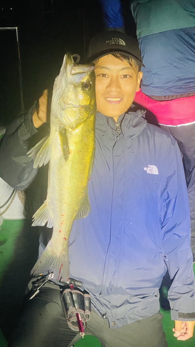 シーバス(スズキ)