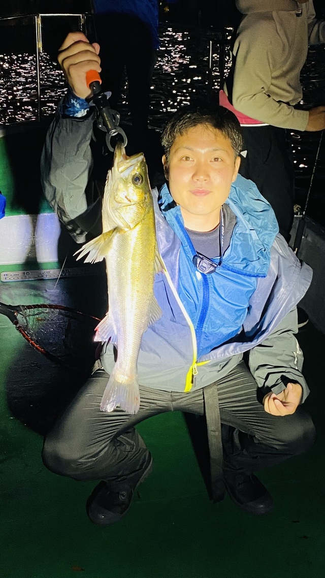 シーバス(スズキ)