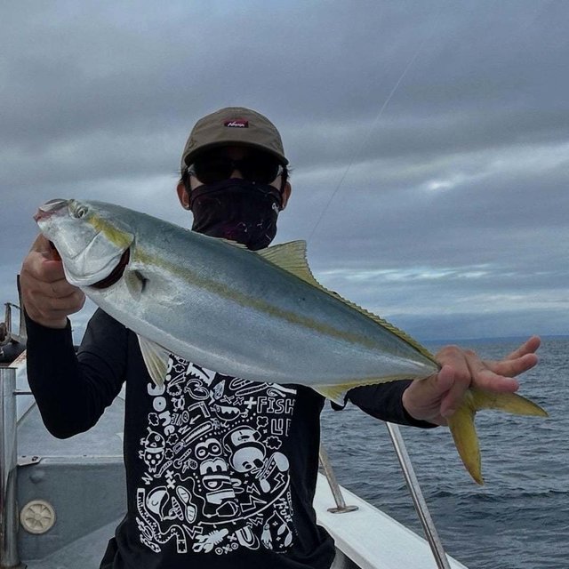 フクラギ(ブリ)