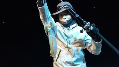 マイカ(ケンサキイカ)