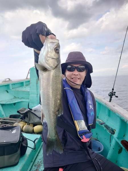 シーバス(スズキ)