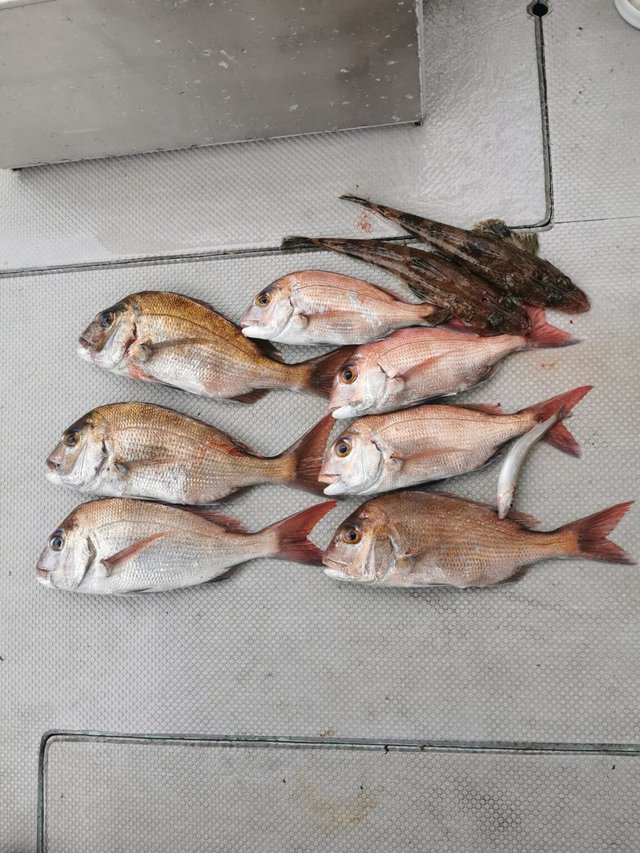 マダイ・イネゴチ