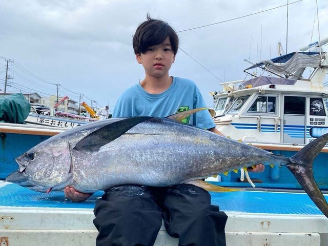 マグロ(キハダ)