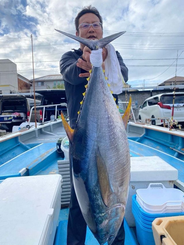 マグロ(キハダ)