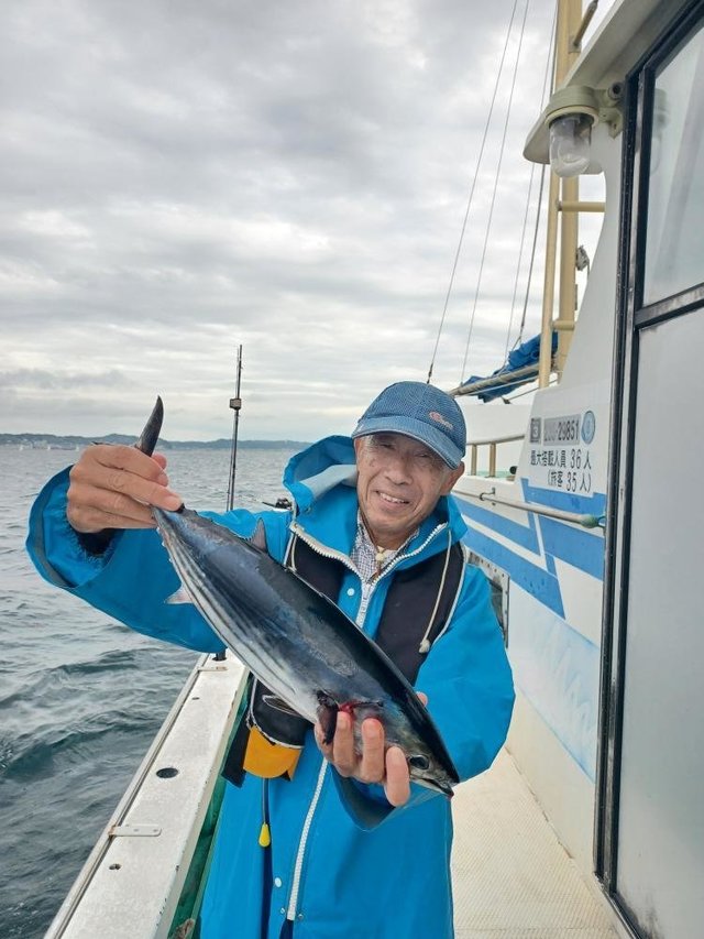 ホンガツオ(カツオ)