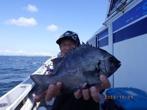 サンバソー(イシダイ)