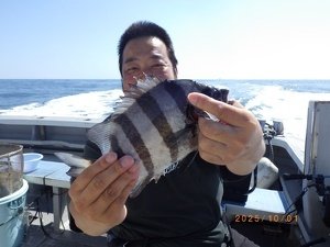 サンバソー(イシダイ)