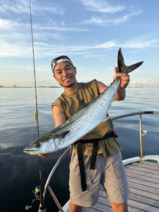 サゴシ(サワラ)