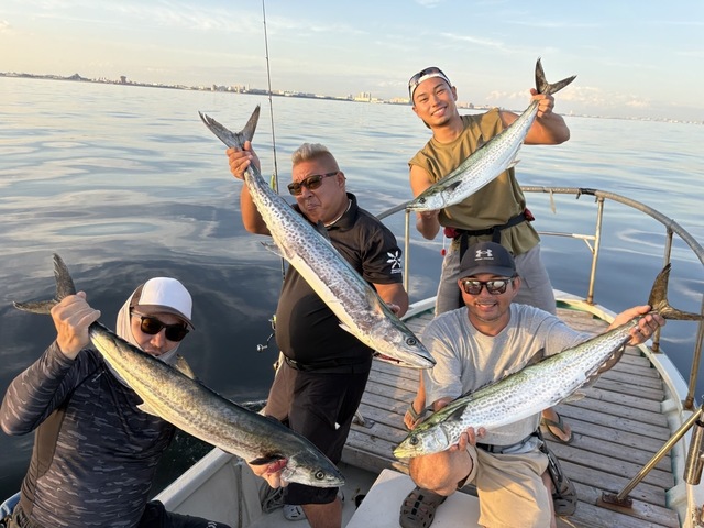 サゴシ(サワラ)