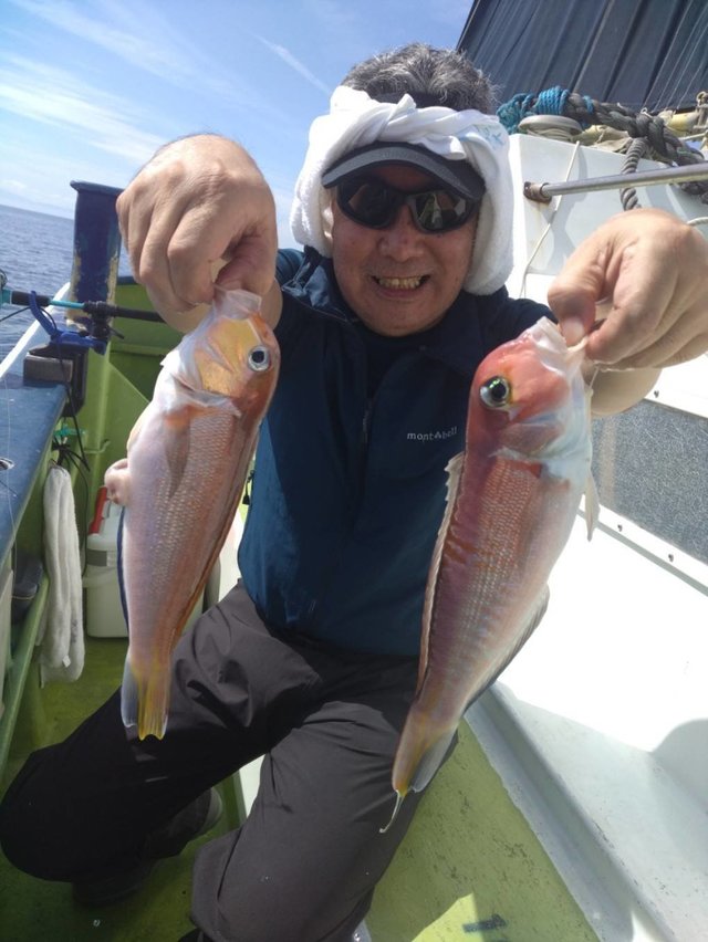 アマダイ(アカアマダイ)