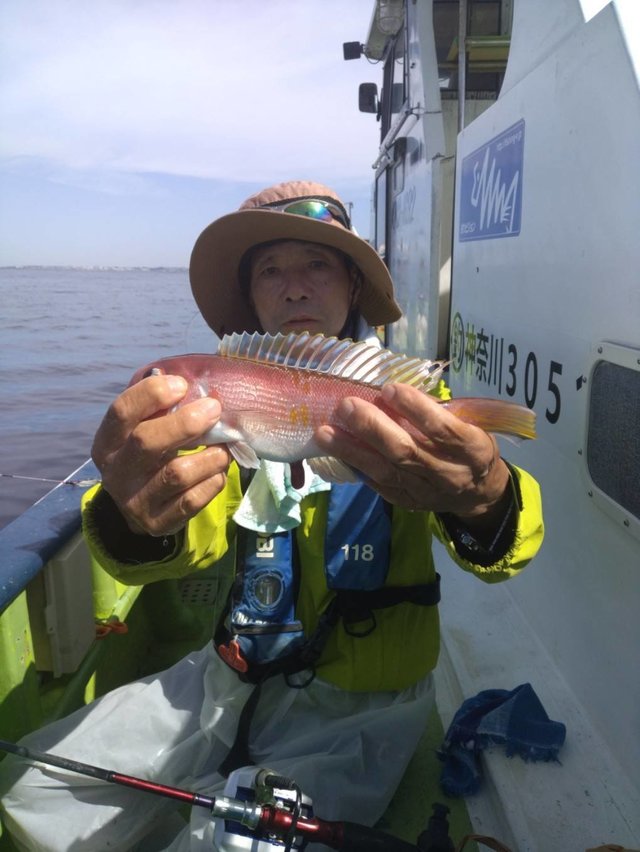 アマダイ(アカアマダイ)