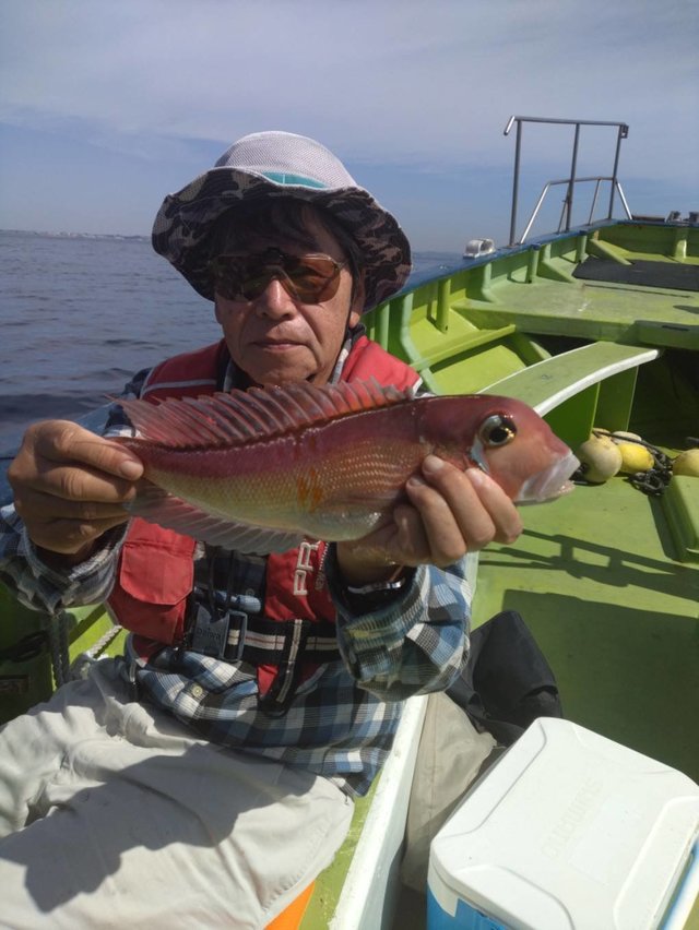 アマダイ(アカアマダイ)