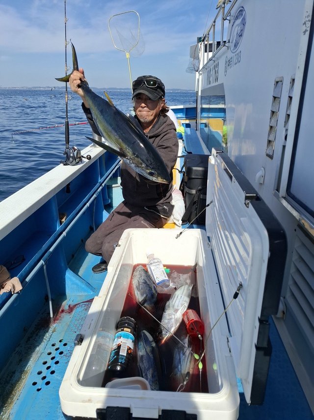 キハダ・カツオ