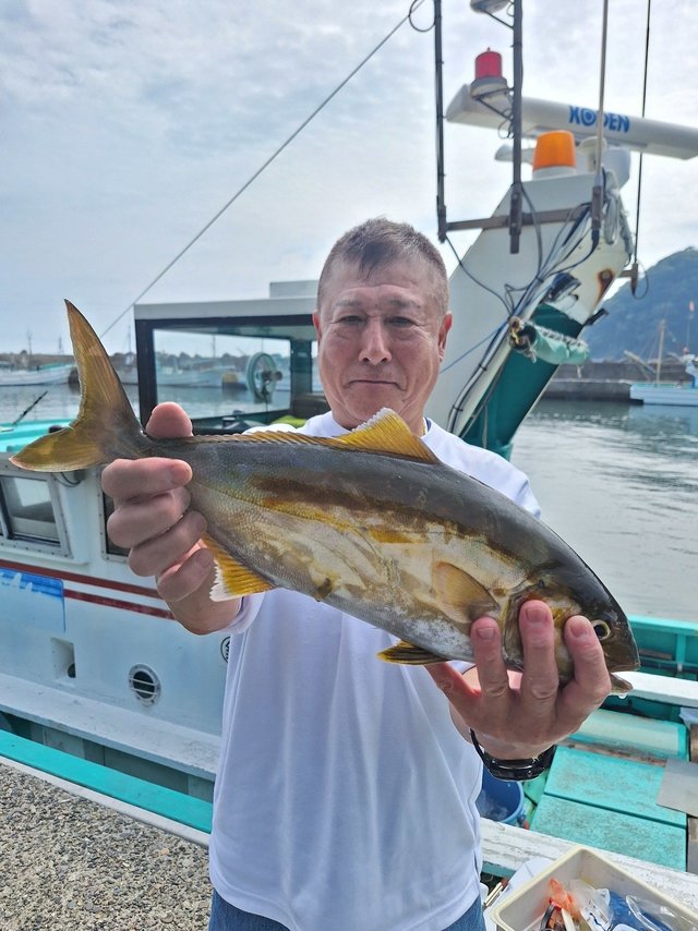 ショウゴ(カンパチ)