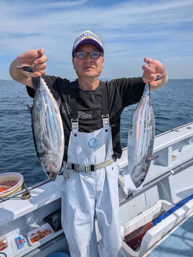 ホンガツオ(カツオ)