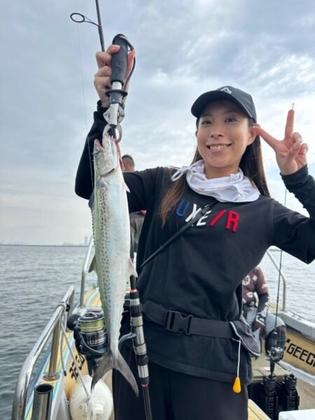 サゴシ(サワラ)