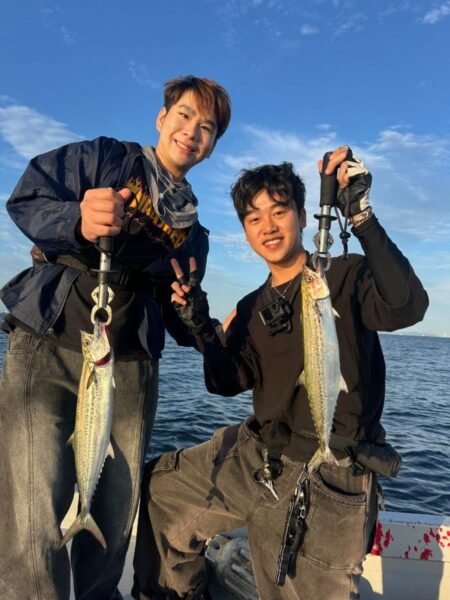 サゴシ(サワラ)