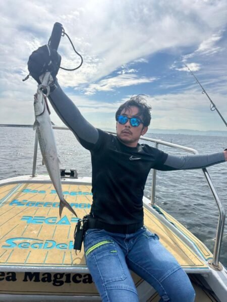 サゴシ(サワラ)