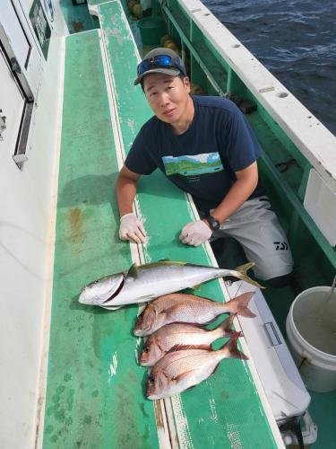 マダイ・ワラサ(ブリ)