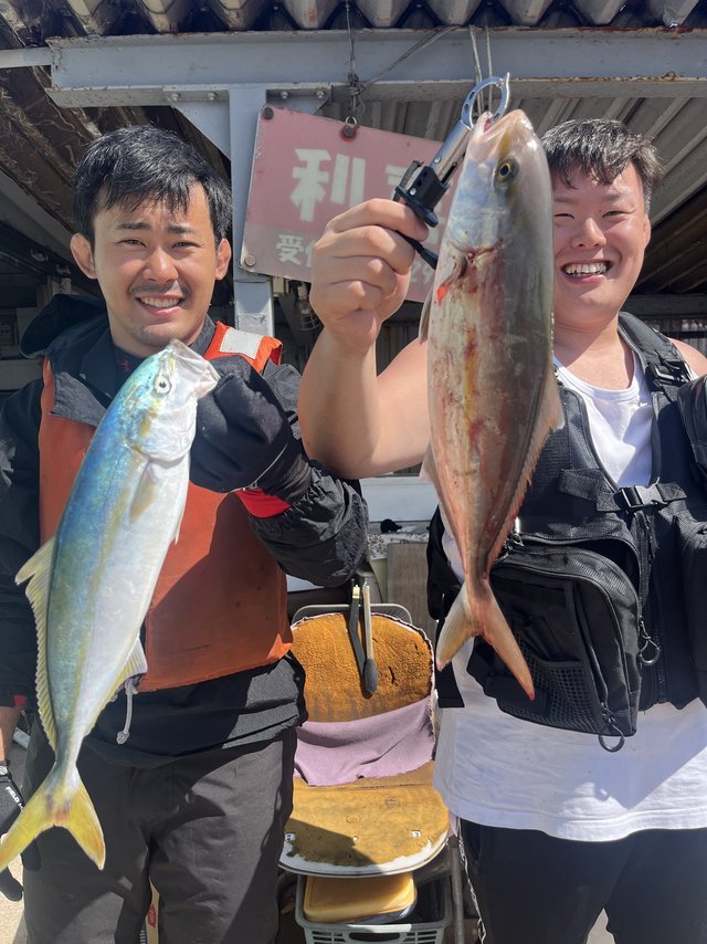 イナダ(ブリ)・カンパチ