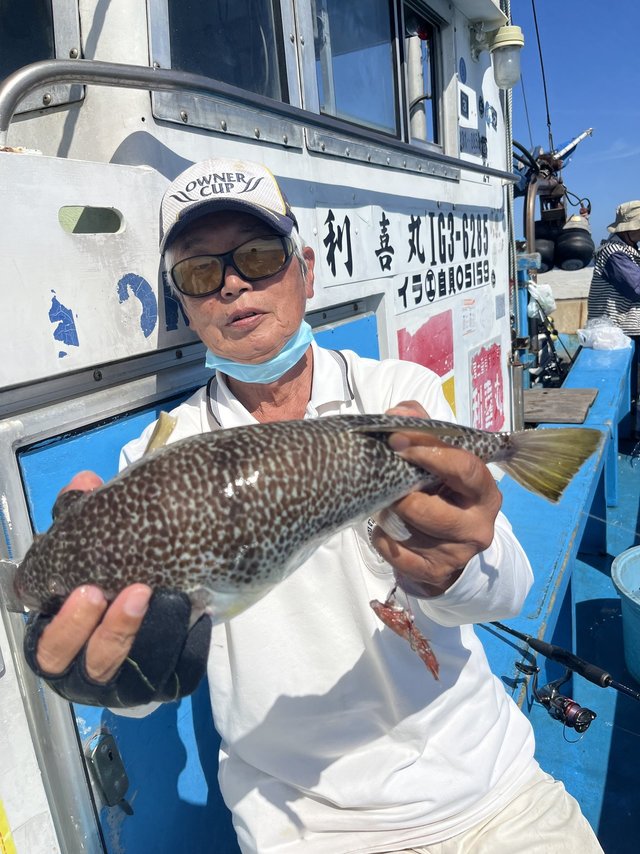 ショウサイフグ