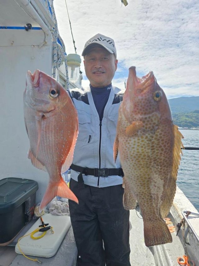 マダイ・ハタ(マハタ)