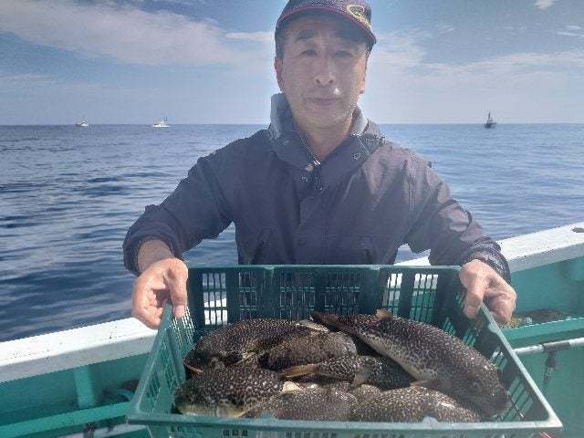 ショウサイフグ