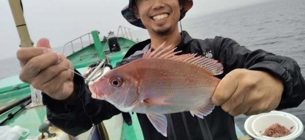 ハナダイ(チダイ)