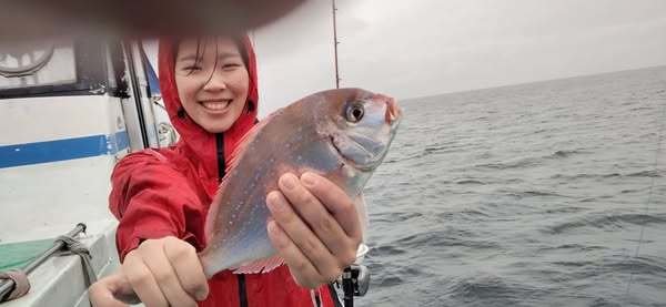 ハナダイ(チダイ)