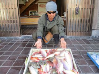 イトヨリ(イトヨリダイ)・カワハギ